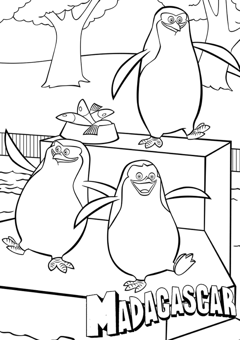 Pingwiny z madagaskaru kolorowanki
